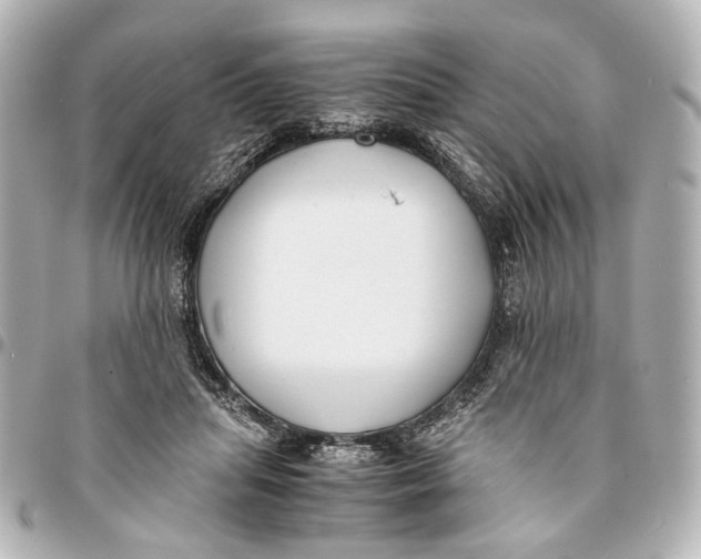 X0000094970455200712201226