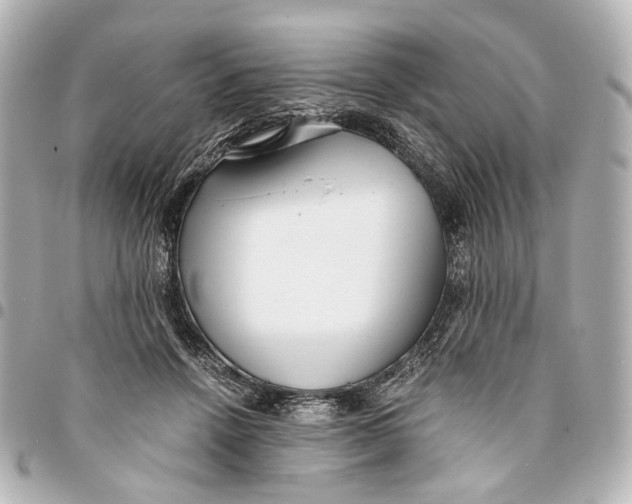 X0000094970456200712201226