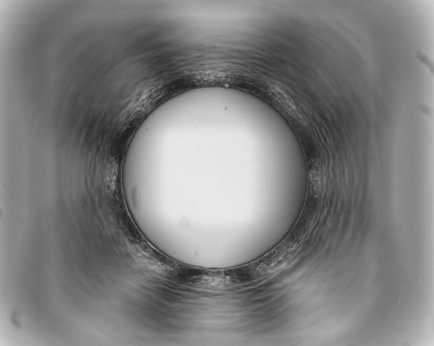 X0000094970458200712201226