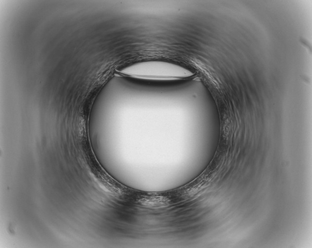 X0000094970459200712201226