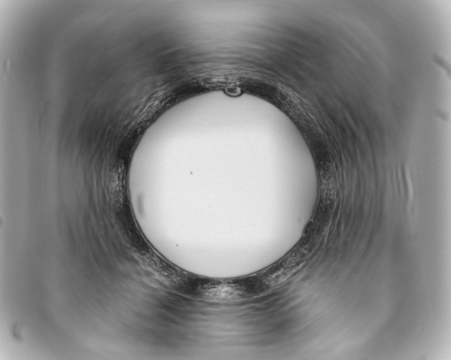 X0000094970460200712201226