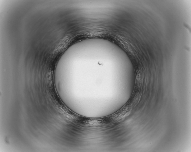 X0000094970462200712201226