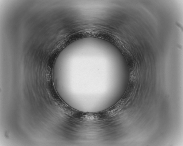 X0000094970464200712201226