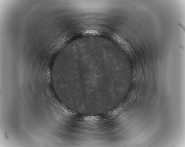 X0000094970465200712201226