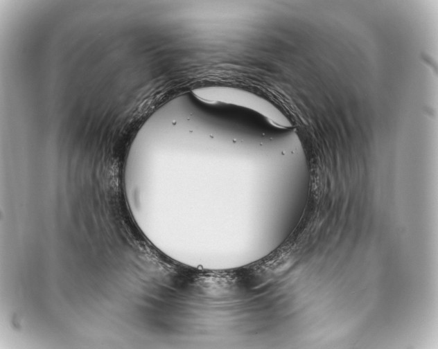 X0000094970466200712201226