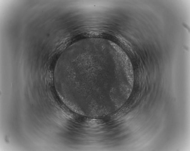 X0000094970467200712201226