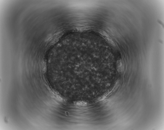 X0000094970471200712201226