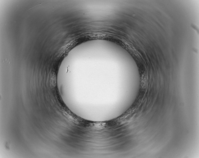 X0000094970474200712201226