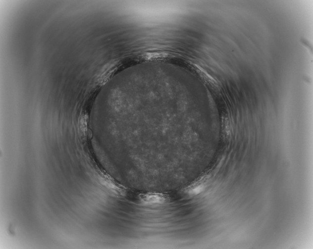 X0000094970475200712201226