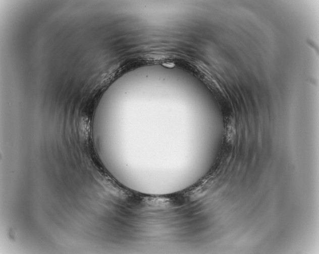 X0000094970476200712201226