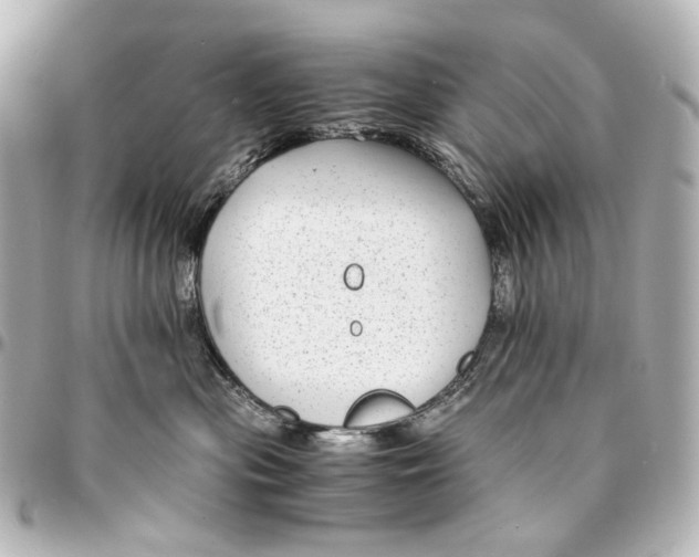 X0000094970477200712201226