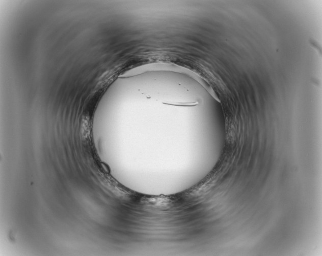 X0000094970478200712201226