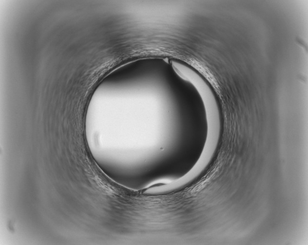 X0000094970481200712201226