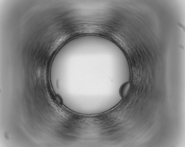 X0000094970482200712201226