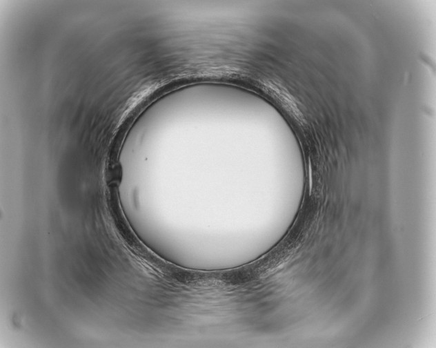 X0000094970483200712201226