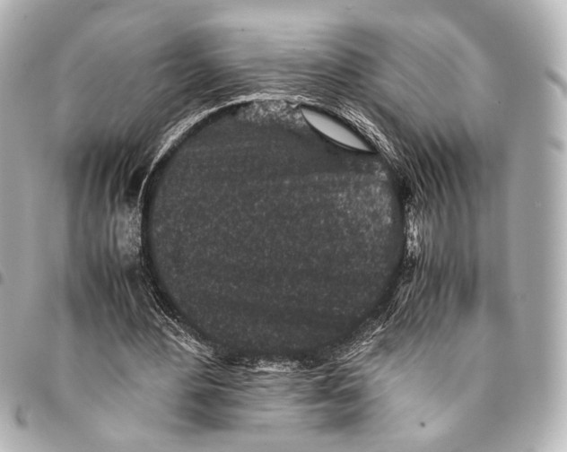 X0000094970484200712201226