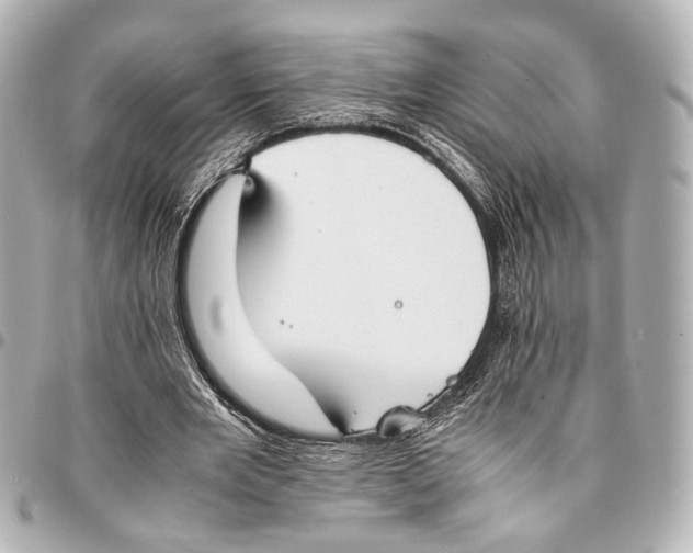 X0000094970485200712201226