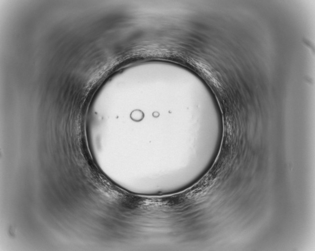 X0000094970487200712201225