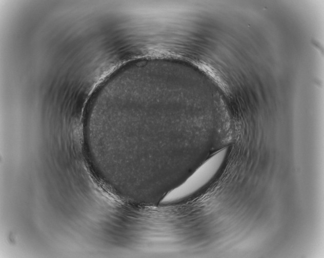 X0000094970488200712201225