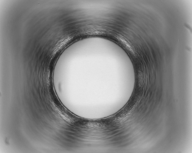 X0000094970490200712201225