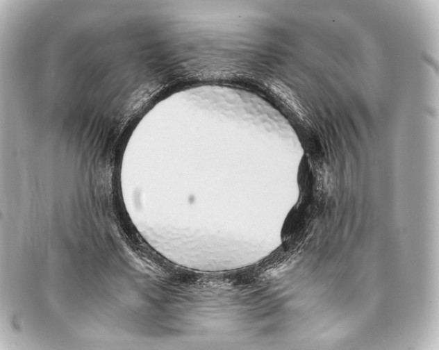 X0000094970491200712201225