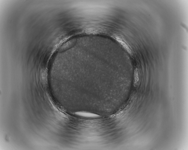 X0000094970492200712201225