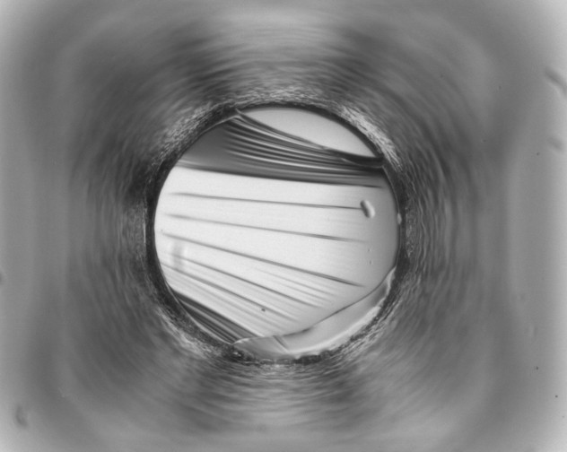 X0000094970493200712201225