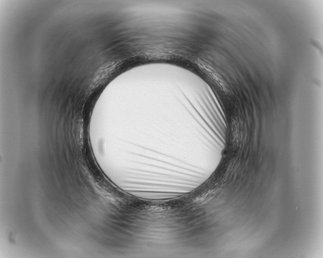 X0000094970494200712201225