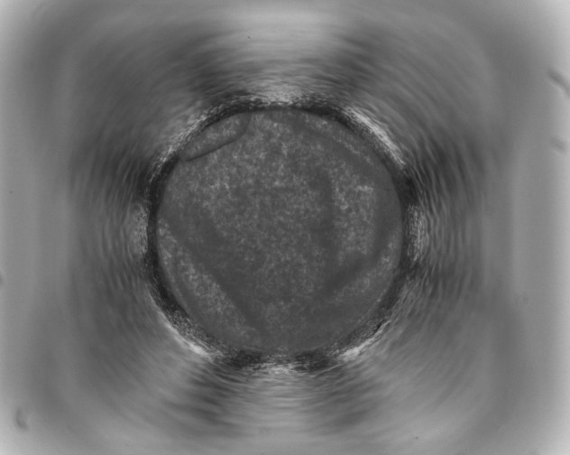 X0000094970496200712201225