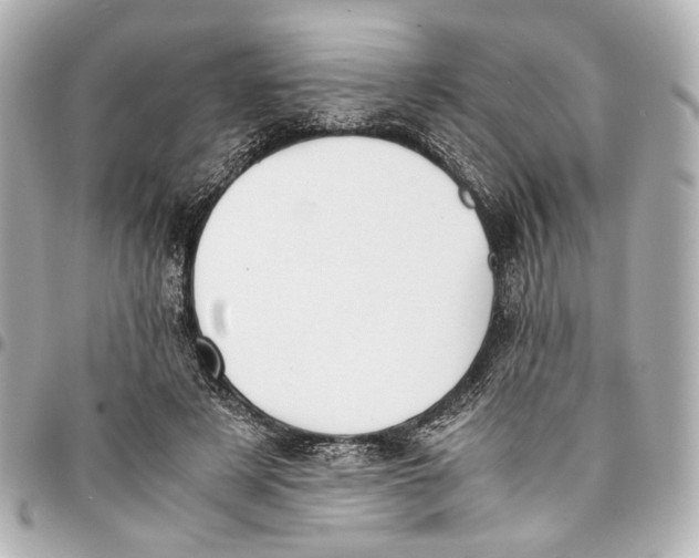 X0000094970497200712201225