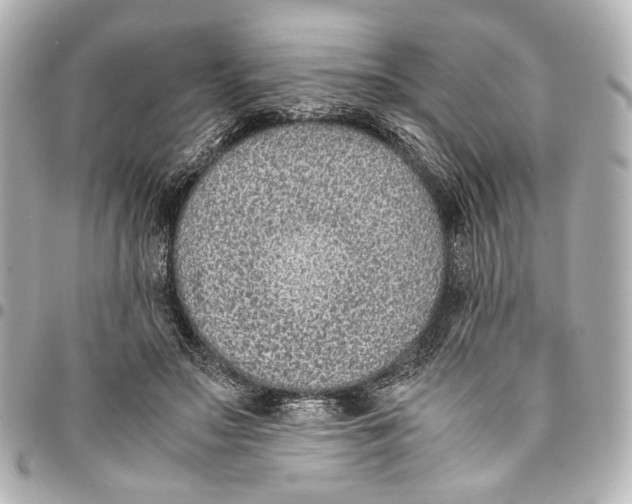 X0000094970499200712201225