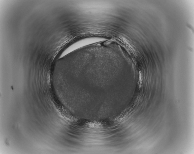 X0000094970500200712201225