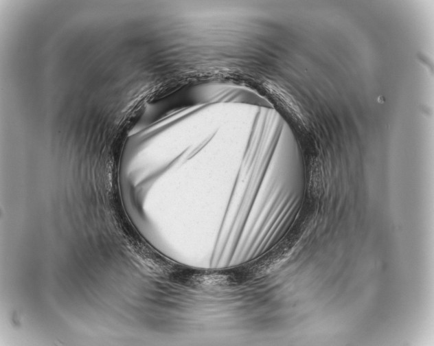 X0000094970501200712201225