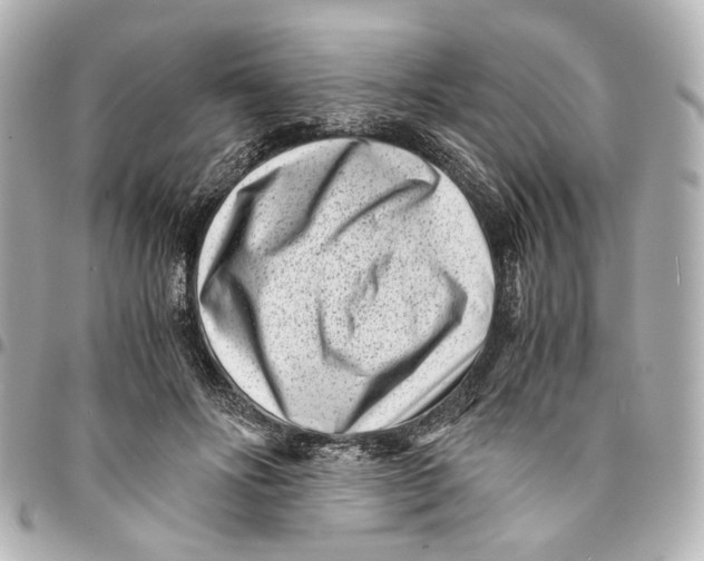 X0000094970502200712201225