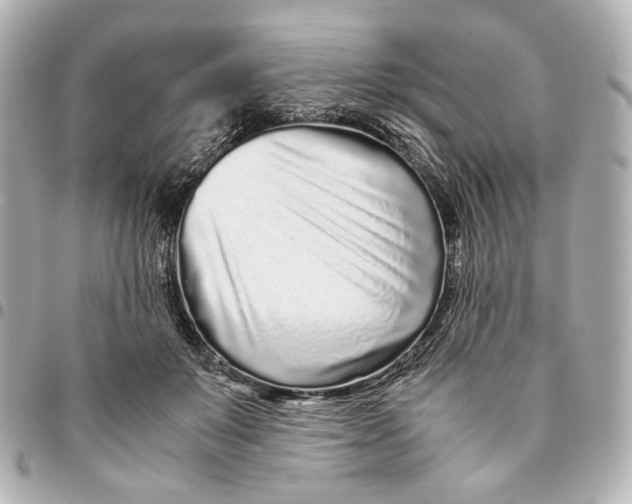 X0000094970503200712201225