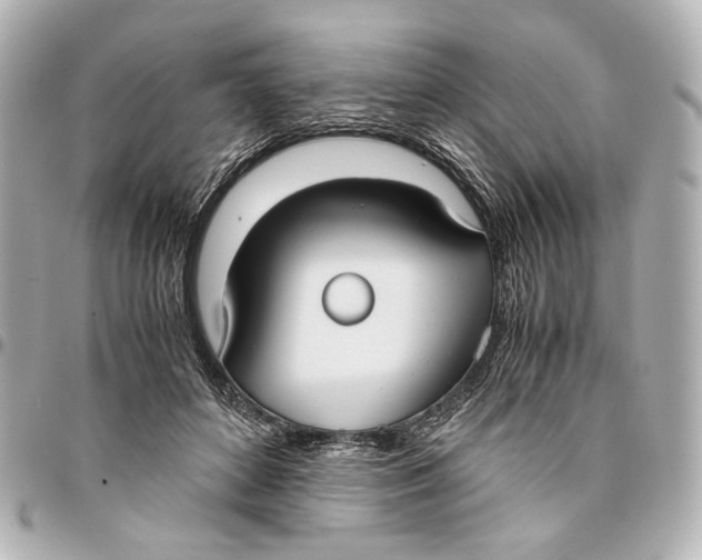 X0000094970504200712201225