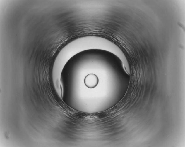 X0000094970508200712201225