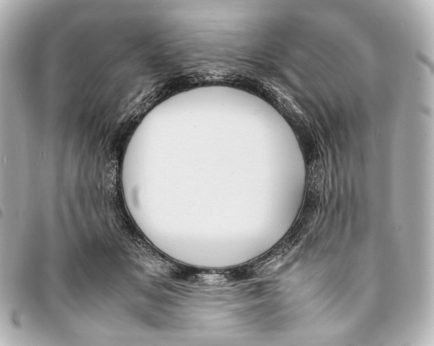 X0000094970509200712201225