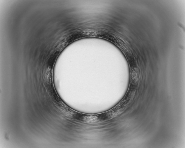 X0000094970511200712201225