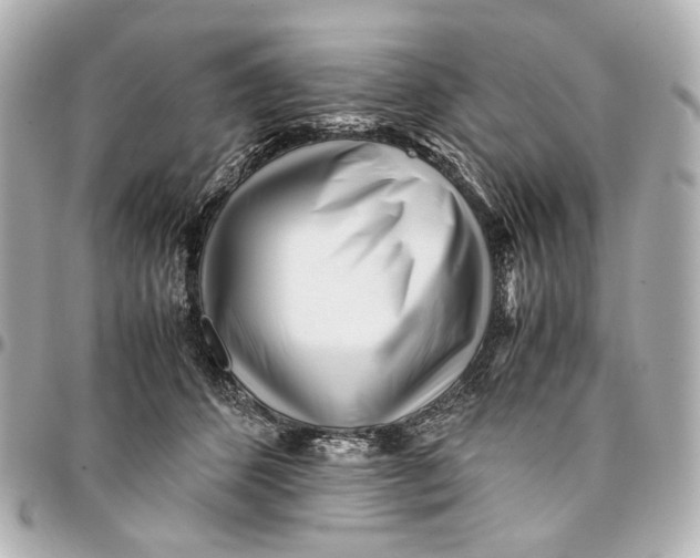 X0000094970512200712201225