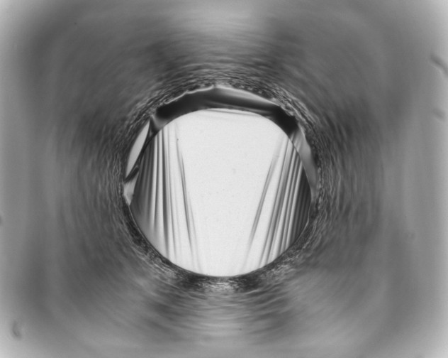 X0000094970513200712201225