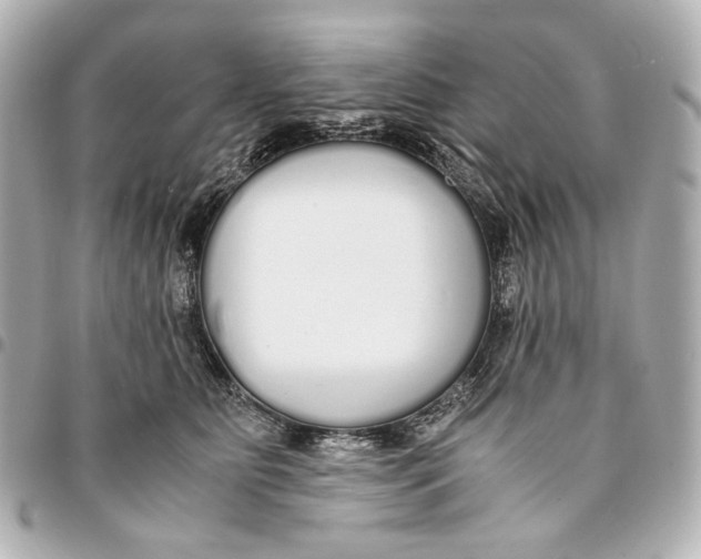 X0000094970515200712201225