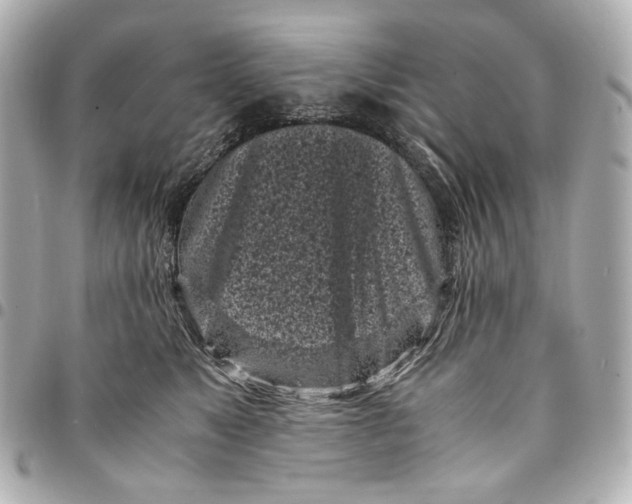 X0000094970517200712201225