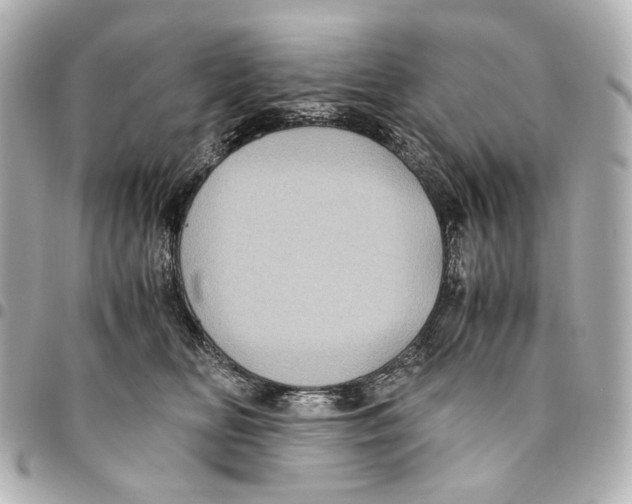 X0000094970518200712201225