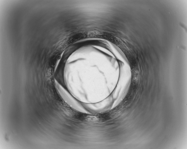 X0000094970519200712201225