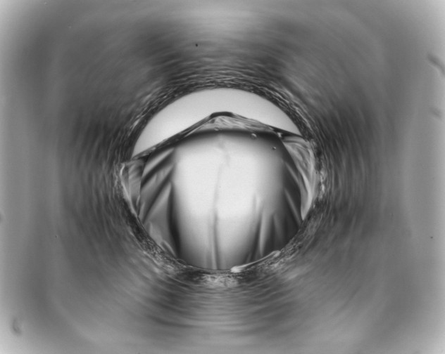 X0000094970520200712201225