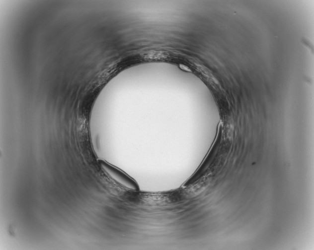 X0000094970521200712201225