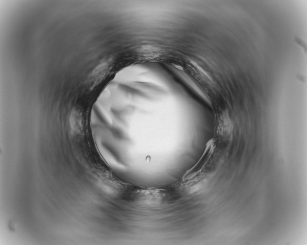 X0000094970524200712201225