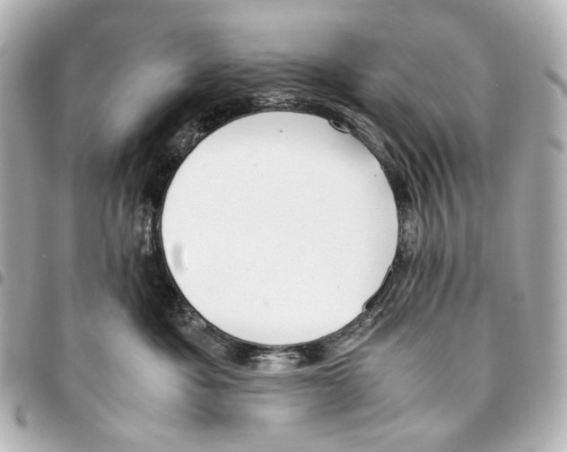 X0000094970525200712201225