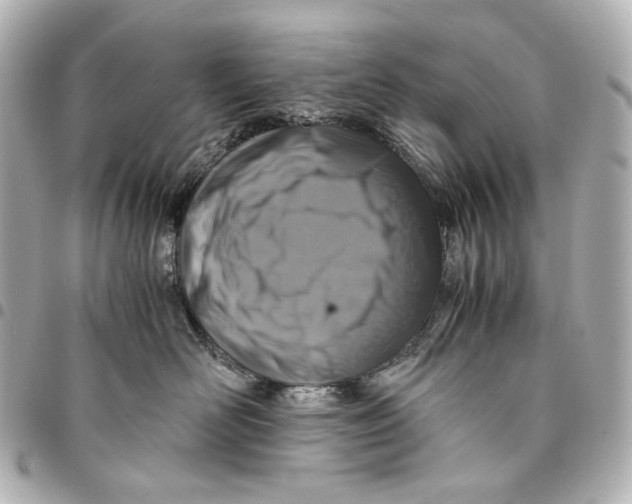 X0000094970526200712201225